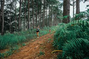 BIB: 
                            <button type="button" onclick="openModal(25689885)" class="btn btn-primary btn-sm float-right btn-popup" data-toggle="modal" data-target=".modal-high-quality">
                        <i class="fas fa-shopping-cart"></i> Add to Cart
                    </button>
                                            <button type="button" onclick="isThisMe(25689885, true)" class="btn btn-success btn-sm float-right btn-popup btn-isme hidden" data-toggle="tooltip" data-placement="bottom" title="นี่คือรูปของคุณใช่ไหม คลิกที่นี่เพื่อเอาเข้าอัลบั้ม">
                        <i class="fas fa-plus"></i> Add to album
                    </button>
                    <button type="button" onclick="isThisMe(25689885, false)" class="btn btn-warning btn-sm float-right btn-popup btn-isnotme hidden">
                        <i class="fas fa-ban"></i> Remove from album
                    </button>